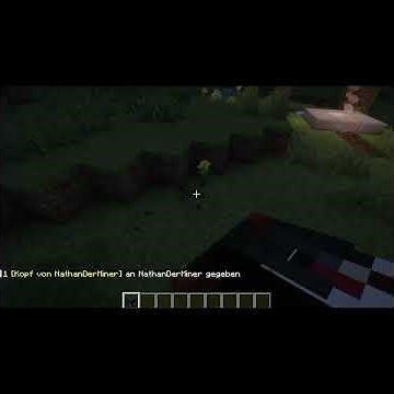 Minecraft NPCs und Spieler Köpfe bekommen! #minecraft