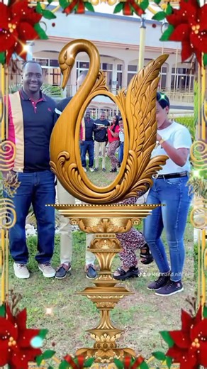 Ferdinand Nife Niyitunga (@ferdinand.nife.ni)’s videos with original sound - Wizzo 257