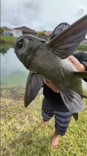 Alien fish caught in Miami!!!