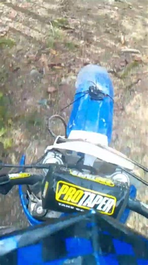 my gopro got hit off by a tree