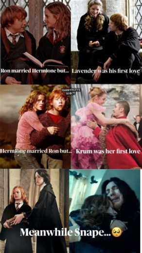 ​The Two Sides of Hogwarts Professors #harrypotter #funnymemes