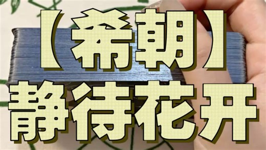 【希朝】静待花开（纯属虚构仅供娱乐，请理智对待）