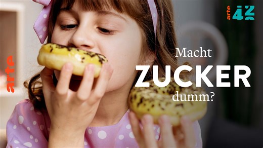 Macht Zucker dumm? - 42 - Die Antwort auf fast alles - Die ganze Doku