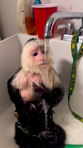 #viral #100k #funny #reelsfb #turkey 😂😂😂 | 𝐁𝐞𝐚𝐮𝐭𝐢𝐟𝐮𝐥 𝙬𝙤𝙧𝙡𝙙