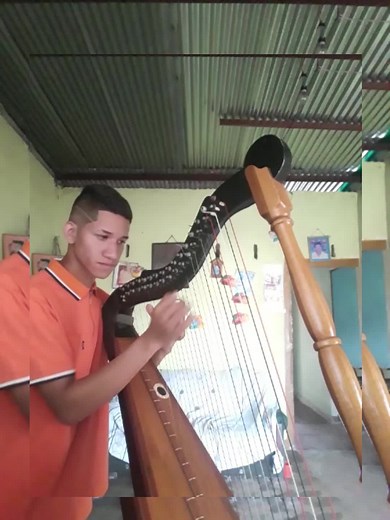 Mastering the Harp: A Stunning Musical Performance