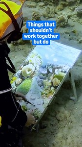 Delivery Entertainment | Amazon Prime Video