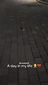 Daily vlog of my boring life  part 5 | Medazelli Automatic | Facebook