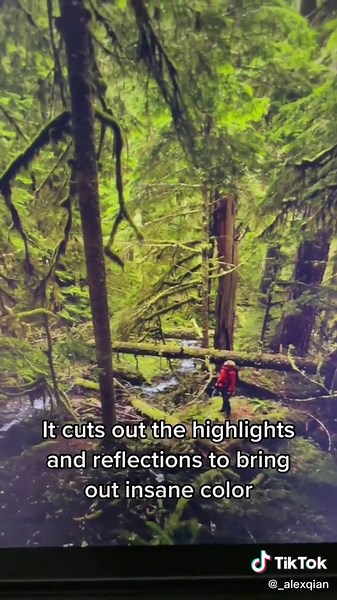 Enhance Your Photos with a Polarizing Filter