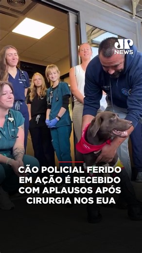 O cão policial Bruno, da unidade K9 do Departamento de Polícia de Park City, em Utah, nos Estados Unidos, foi recebido com aplausos ao deixar uma clínica veterinária em Salt Lake City após passar por uma cirurgia. Bruno fraturou a mandíbula e quebrou as pernas ao saltar de um viaduto enquanto ajudava a avaliar um pacote suspeito. Segundo a polícia, o procedimento foi bem-sucedido, e o animal já está com a família e segue em recuperação. 🎥 Park City Police Department via Storyful 📺 Confira na J