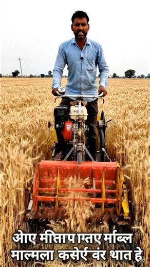 DIY Mini Reaper Binder in Action. Low-Cost Farming Machine for Wheat Harvesting