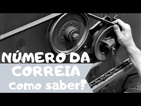 HOW TO KNOW THE BELT NUMBER