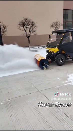 Remote Control Snow Blower
