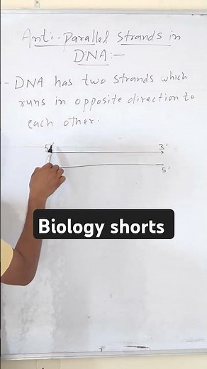 Antiparallel strands in DNA #viralbiology #dna #education #biology #science