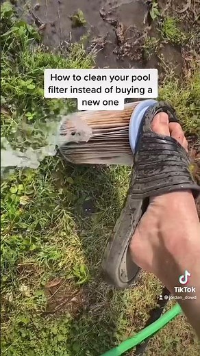 How to clean your Intex Easy Set Pool’s filter #howto #diy #pool