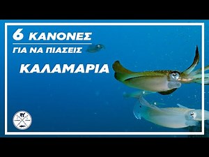 "ΚΑΛΑΜΑΡΙΑ ΠΩΣ ΘΑ ΤΑ ΠΙΑΣΕΙΣ ΕΥΚΟΛΑ" 6 ΚΑΝΟΝΕΣ ΓΙΑ ΚΑΛΥΤΕΡΟ ΚΑΙ ΑΠΟΔΟΤΙΚΟΤΕΡΟ ΨΑΡΕΜΑ EGING