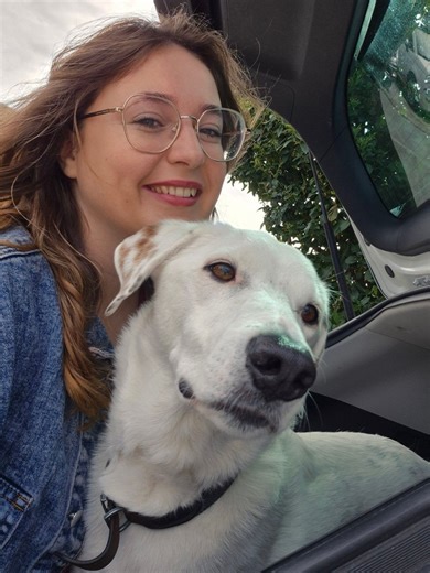 ‘We created sign language to communicate with our deaf dog which we brought to the West Midlands from Spain’