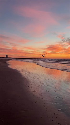 It’s that time of the season when the weather is cooler, and those beach sunrises are even more vibrant! 🌅🏝️☀️#LoveGalveston | VisitGalveston.com | Galveston Island