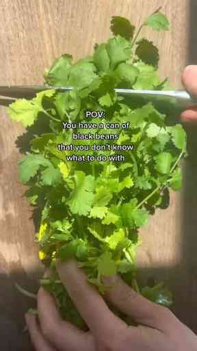 No Meat, No Problem! High-Protein Vegan Recipes You’ll Love