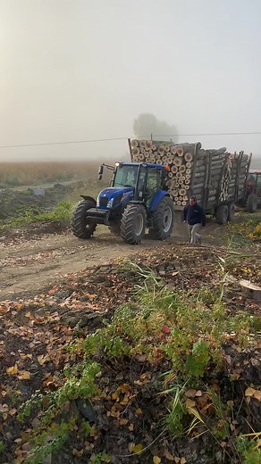 Semih kaan karar TikTok'ta