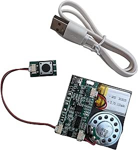 Press-Button Control Activated MP3 Music Sound Module USB Downloadable Sound Module for Greeting Cards, Crafts, Christmas, New Year Greeting Cards-with Speaker, Lithium Battery and USB Cable