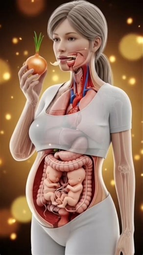 what happens when onion eating inside of the human body animation digestion system#shorts#edit#fyp