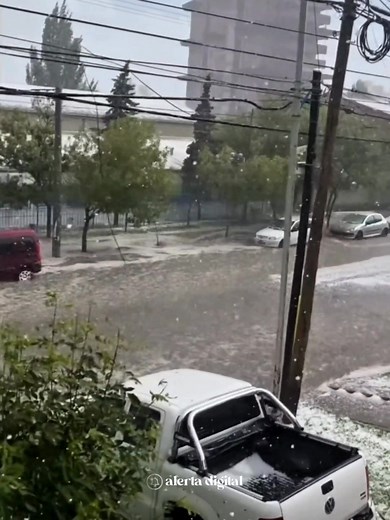 Alerta Digital Neuquén on Reels