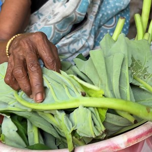 239K views · 5.5K reactions | ঠাকুমার হাতে সেরা স্বাদের কচুপাতা চিংড়ি ভাপা।হেব্বি খেতে।kochu pata chingri।prawns with taro leaves #Appayan #chingrimach #chingrirecipe | Appayan | Facebook