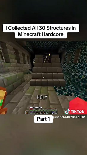 I Collected All 30 Structures in Minecraft Hardcore #trending #viral #fyp