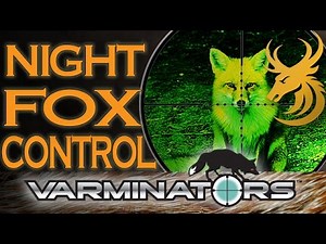 Lamping Foxes: EXTREME Night Vision Hunting - Shooting Foxes at Night