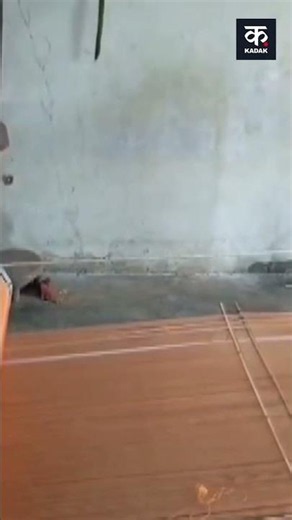 Odisha's Heritage Handloom Creates History | #shorts