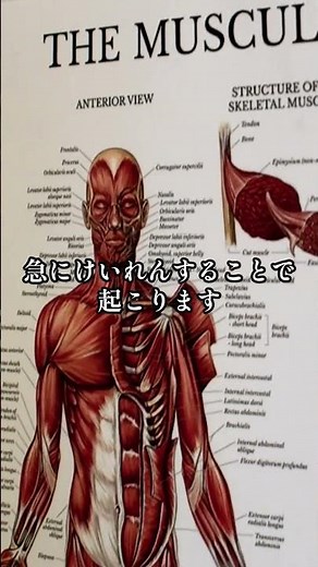 なぜ人はしゃっくりをするのか？