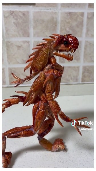 Realistic Crayfish Model Assembly in Kitchen Setting
