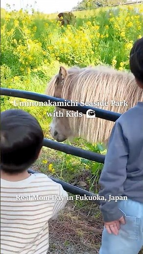 A Day at a Japanese Park with Kids 🇯🇵 | Playground & Animals #fukuoka #japanvlog