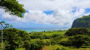 Majestic scenery of Hawaii mountains and ocean which remind Jurassic Park landscape. Beautiful Hawaiian nature. Cinematic view of Oahu island. Peaceful lawn during sunny day. Exotic wild nature