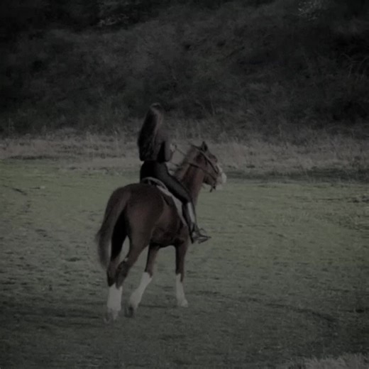 Exploring the Vibrant Universe of The Star 944