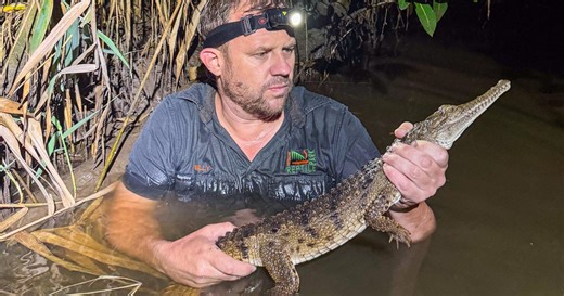 Coexisting with Australia's deadly crocodiles