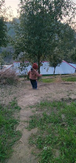 Exploring the Beauty of Kashmir with Abu Bakar