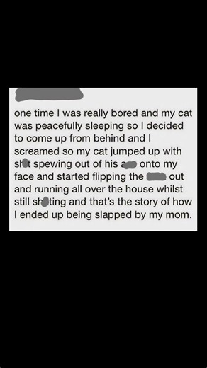 cat scare backfire story | Subscribe for more #motivation 😊👍