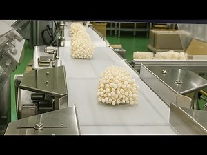 Automatic Checkweigher for Enoki Mushroom Production Line | Food Packaging & Quality Control System