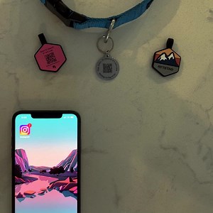 6.6K views · 6.9K reactions | Keep your pet safe with ByteTag! The safest and most advanced pet tag on the market.  Scannable GPS coordinate notifications  Customizable pet profile  Scratch, bite, fade-resistant, and water-resistant  No subscription fees and no app required Get your ByteTag today and never worry again! https://shop.bytetag.co/collections/bytetag | ByteTag | Facebook