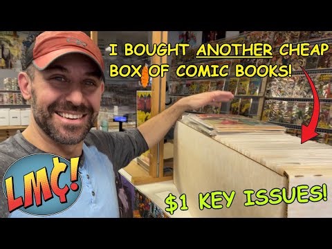 I Bought ANOTHER Cheap Long Box and Completed a 2024 Comic Collecting Goal!