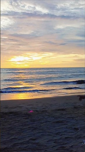 Beautiful Sunset at the Beach 🌅 | Relaxing Ocean View #shorts