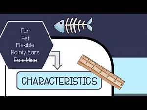 Example of a Frayer Model