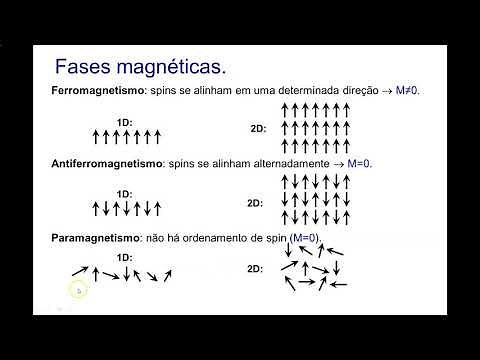 Modelo de Ising com Monte Carlo - Métodos Computacionais em Física - USP