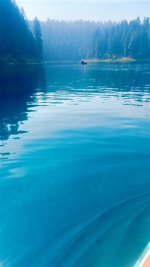 The clearest lake in the world, Clear Lake #Oregon ✨💎🌊🌎
