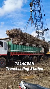 Featuring TALACDAN Transloading Station #MillingSeason20252026 #NEGROS | Negros Countryside