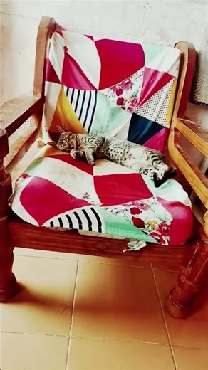 best loop video#kiten loop video#😍