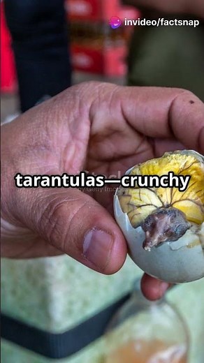 Top 10 Weirdest Foods Around the World