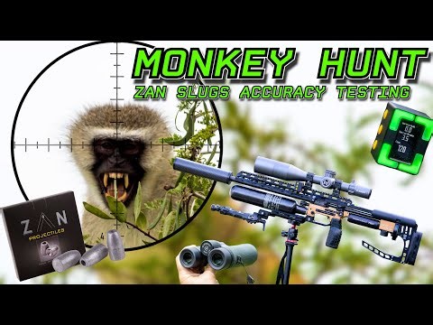 Monkey Hunt & ZAN Slugs Accuracy Testing | FX Impact M4 | 33gr ZAN Slugs | Pest Monkey Removal