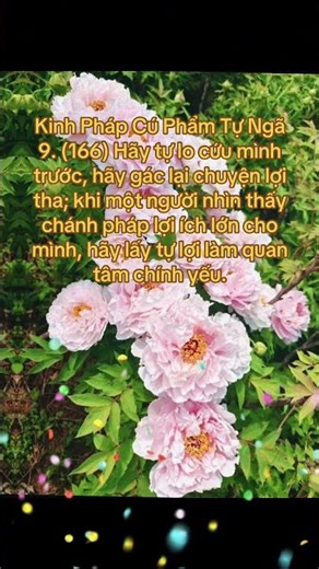 Kinh Pháp Cú TT Phẩm Tự Ngã 9